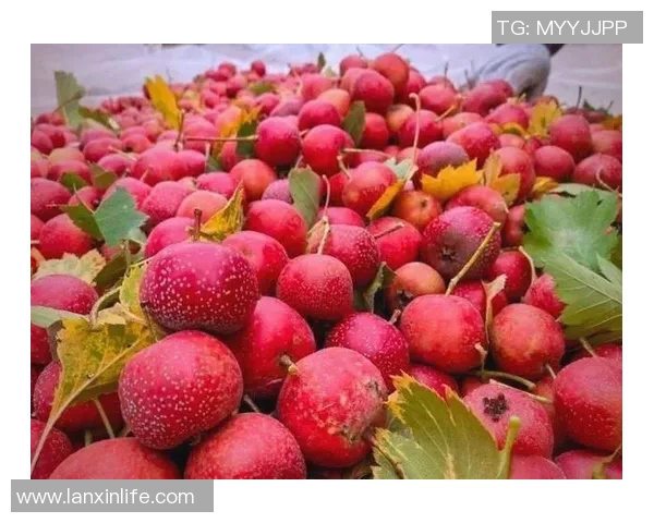 陈强独家分享排球心得与技巧助你提升球技的全面指南