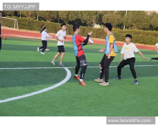 从零起步掌握飞盘团队协作技巧与策略全解析