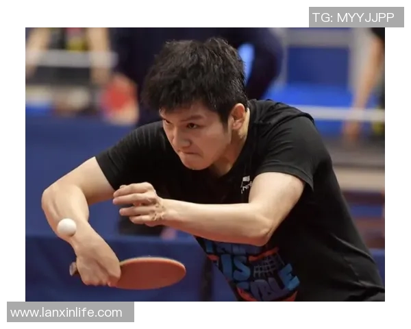 上海乒乓球队在挑战赛中的耐力表现分析与点评